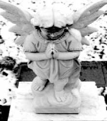 Begotten by Darkness